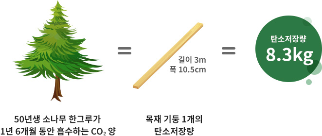 50년생 소나무 1그루가 1년 6개월 동안 흡수하는 CO₂의 양 = 목재 기둥 1개(길이 3m, 폭 10.5cm)의 탄소저장량(8.3kg)