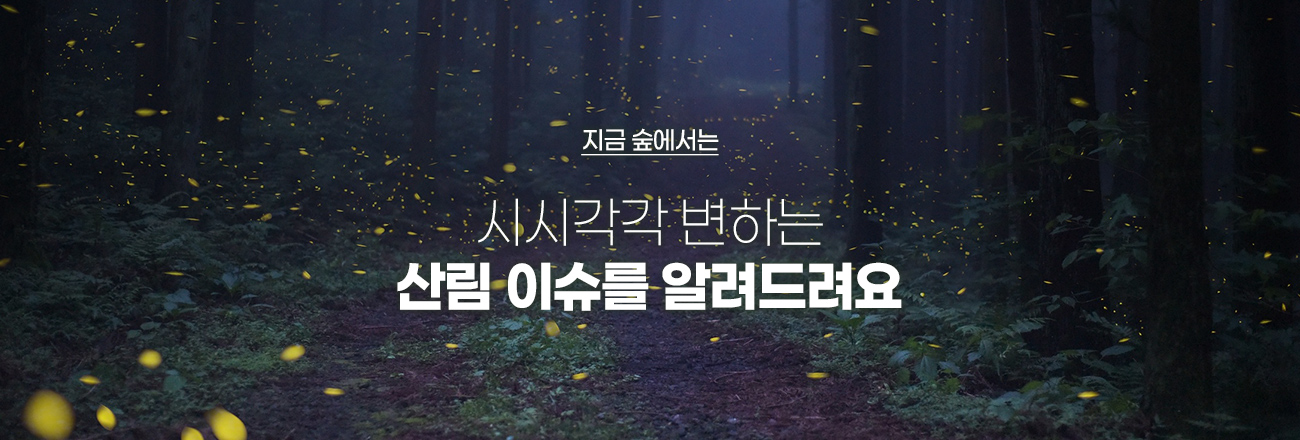 지금 숲에서는 시시각각 변하는 산림 이슈를 알려드려요