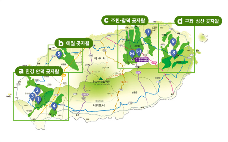 ▲제주 4대 곶자왈