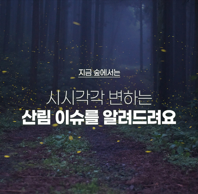 지금 숲에서는 시시각각 변하는 산림 이슈를 알려드려요